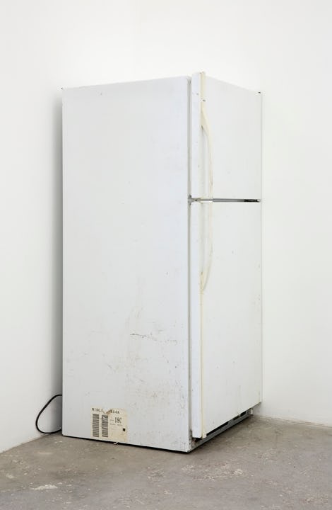 Jared Madere, Untitled (2014). Refrigerator
